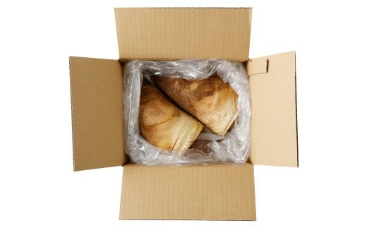 【数量限定】朝堀り 筍 2kg 熊本県産米(約500g)付き【2026年3月上旬～4月下旬迄発送予定】