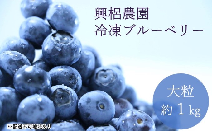 熊本県産 興梠農園 冷凍 ブルーベリー 大粒 約1kg（約500g×2）【配送不可：離島】