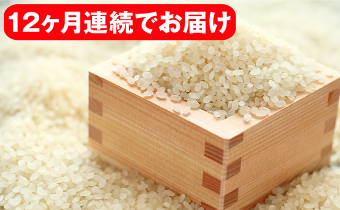 【定期便】矢部米(普通栽培米）10kg×12ヶ月
