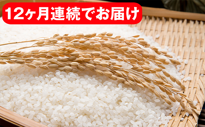 【定期便】矢部米（合鴨栽培米）10kg×12ヶ月