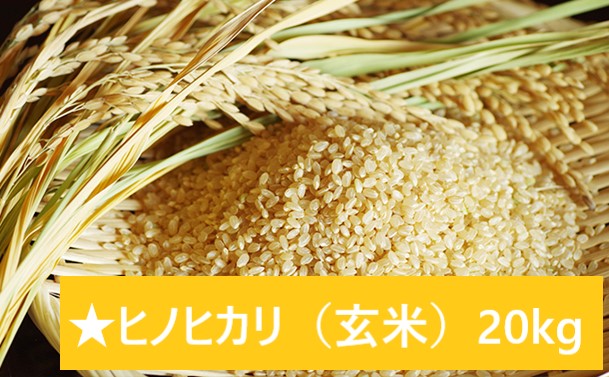 山間地湧水米　ヒノヒカリ（玄米）たっぷり20kg