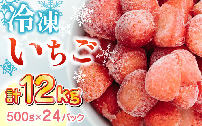 【数量限定】 冷凍 いちご 計12kg ( 500g × 24P ) 熊本県産 山都町産【なかはた農園】[YBI006] 