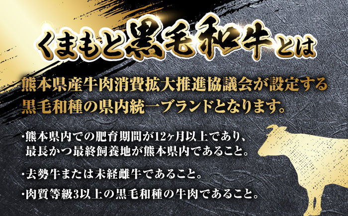 【全3回定期便】 くまもと黒毛和牛 すきやき用 500g すき焼き すきやき しゃぶしゃぶ スライス 国産 冷凍 熊本産 ブランド牛 牛肉【山都町（阿蘇牧場）】[YDF020] 