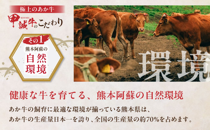 あか牛 カルビ 焼肉セット 400g やきにく 焼き肉 贅沢 あか牛のたれ付き 熊本 赤牛 褐牛 あかうし 褐毛和種 肥後 冷凍 国産 牛肉【有限会社 三協畜産】[YCG007] 