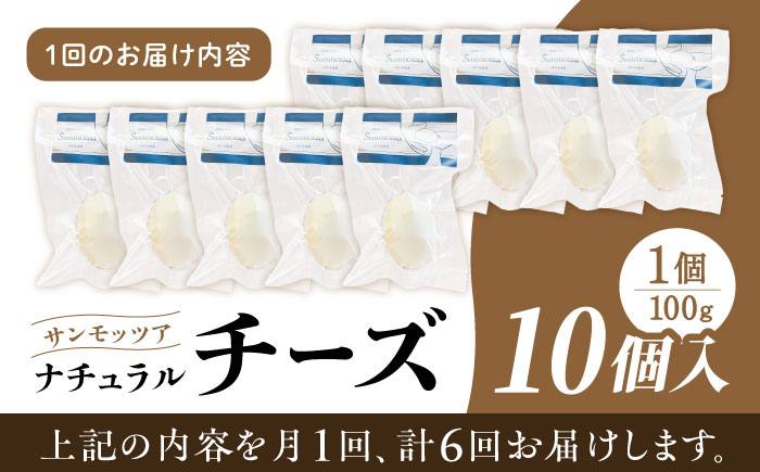 【全6回定期便】自家製 ナチュラルチーズ サンモッツア 10個 ( 100g × 10個 ) / チーズ モッツァレラチーズ  乳製品 熊本 山都町【山の未来舎】[YBV021] 