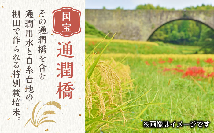 【全3回定期便】令和6年産  通潤橋 水ものがたり 棚田米 10kg (2kg×5袋) お米 白糸台地 熊本産 特別栽培米 定期便【一般社団法人 山都町観光協会】[YAB030] 