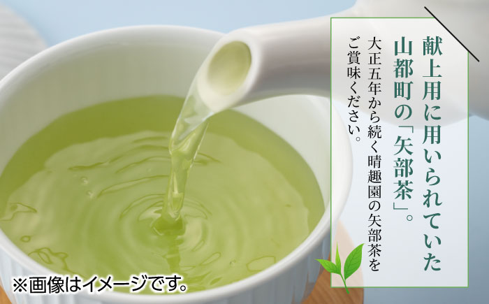 【全6回定期便】晴趣園 藤原製茶 お茶 セット 蒸製玉緑茶 4点セット 化粧箱入り 矢部茶 玉緑茶 緑茶 水出し 熊本県産 山都町産 【一般社団法人 山都町観光協会】[YAB046] 