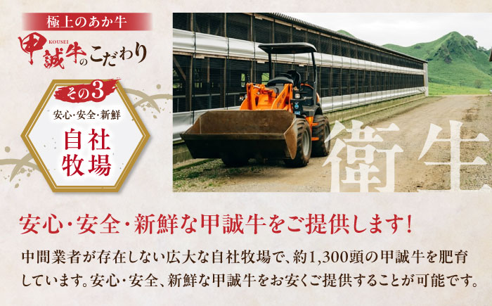 【全3回定期便】熊本県産 あか牛 ロースステーキ セット 計400g ( 200g × 2枚 ) 冷凍 専用タレ付き あか牛のたれ付き 熊本和牛【有限会社 三協畜産】[YCG053]