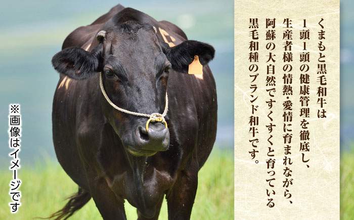 【全3回定期便】 くまもと黒毛和牛 すきやき用 500g すき焼き すきやき しゃぶしゃぶ スライス 国産 冷凍 熊本産 ブランド牛 牛肉【山都町（阿蘇牧場）】[YDF020] 