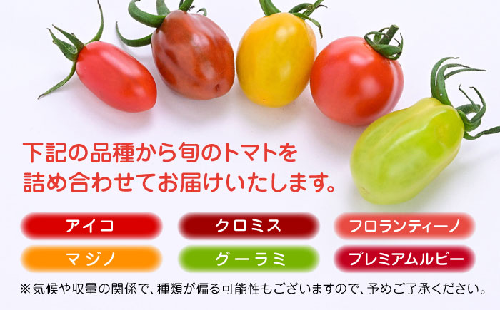 【期間限定】熊本県産 減農薬栽培 トマト ミディトマト 詰め合わせ 800g 食べ比べ ギフトセット 産地直送【矢仁田農園】[YDE002] 