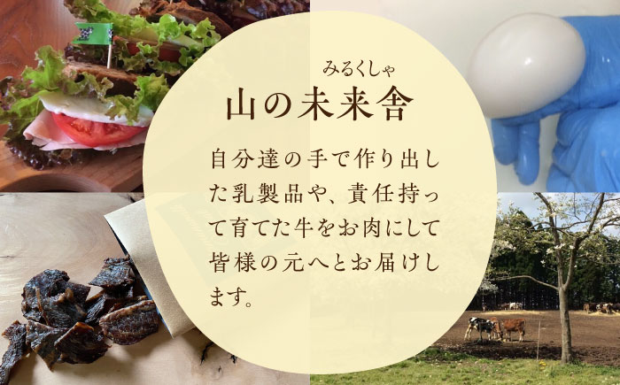 【全6回定期便】自家製 ナチュラルチーズ サンモッツア 10個 ( 100g × 10個 ) / チーズ モッツァレラチーズ  乳製品 熊本 山都町【山の未来舎】[YBV021] 