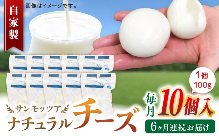 【全6回定期便】自家製 ナチュラルチーズ サンモッツア 10個 ( 100g × 10個 ) / チーズ モッツァレラチーズ  乳製品 熊本 山都町【山の未来舎】[YBV021] 