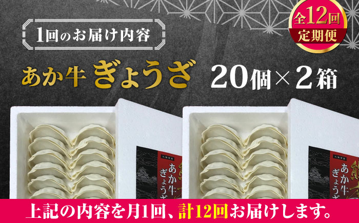 【全12回定期便】熊本県産 あか牛 ぎょうざ 計40個 ( 20個 × 2箱 ) 熊本和牛【有限会社 三協畜産】[YCG094] 