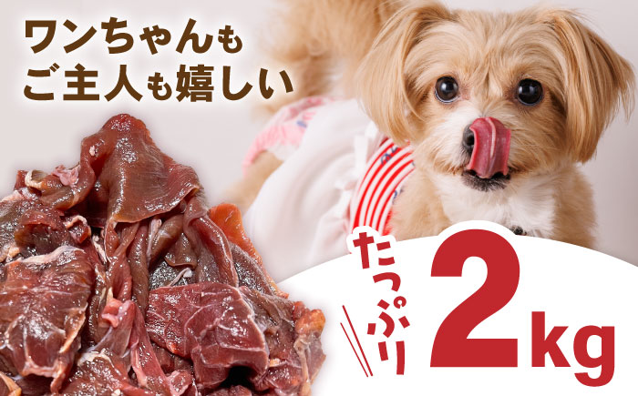 【全12回定期便】国内加工 ペット用 馬肉 切り落とし 合計24kg (1kg×2P) ドッグフード ペットフード 熊本【五右衛門フーズ】[YBZ016] 