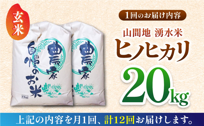 【全12回定期便】山間地 湧水米 ヒノヒカリ 玄米 20kg【「のん気・元気」百姓家】[YAL012]