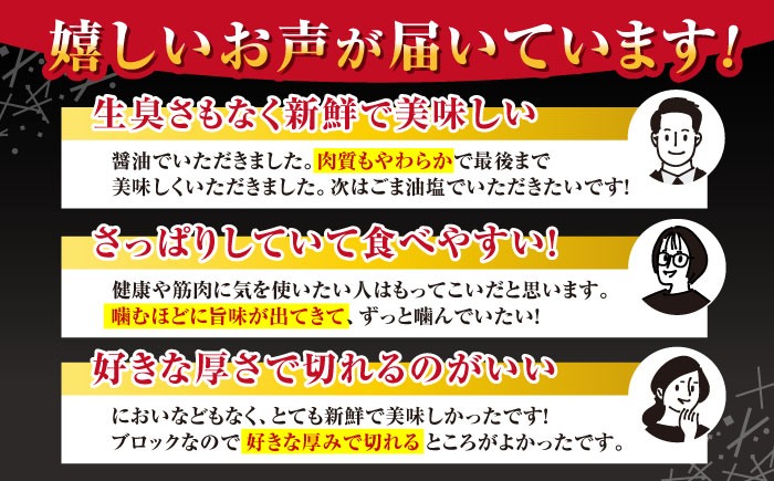 【全3回定期便】 赤身 馬刺し 1kg (100g×10P) 【五右衛門フーズ】 [YBZ072]