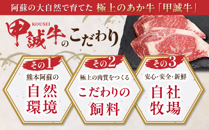 【全3回定期便】熊本県産 あか牛 ロースステーキ セット 計400g ( 200g × 2枚 ) 冷凍 専用タレ付き あか牛のたれ付き 熊本和牛【有限会社 三協畜産】[YCG053]