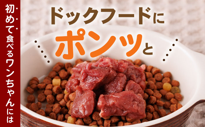 【全3回定期便】国内加工 ペット用 馬肉 切り落とし 合計6kg (1kg×2P) ドッグフード ペットフード 熊本【五右衛門フーズ】[YBZ015] 