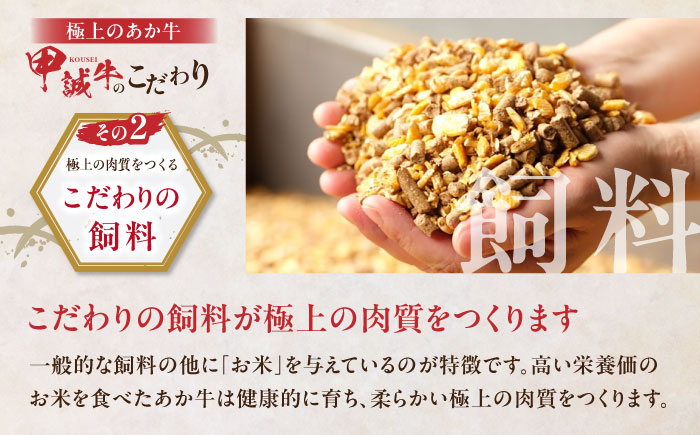 あか牛 ロース ステーキ セット 200g×2枚 赤牛 和牛 ロース ステーキ ロースステーキ 褐牛 あかうし 褐毛和種 肥後 冷凍 国産 牛肉【有限会社 三協畜産】 [YCG011] 