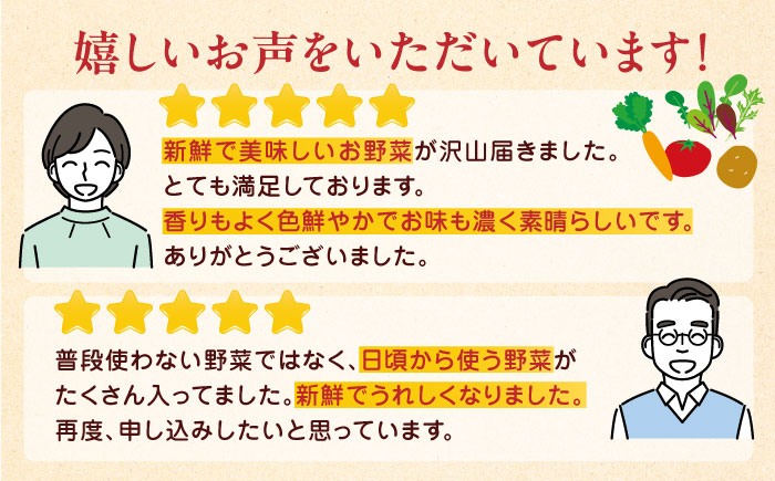 【全12回定期便】オーガニック 野菜 セット 8種【株式会社 肥後やまと】 [YAF030]