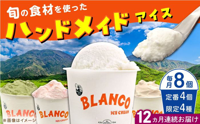 【全12回定期便】ハンドメイドアイスクリーム 6種 食べ比べ  8個セット 詰め合わせ アイスクリーム 熊本 山都町 アイス【BLANCO ICE CREAM】[YCM008] 