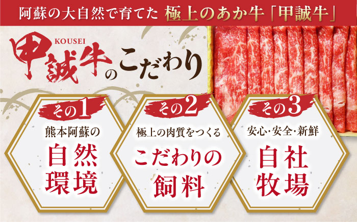 熊本県産 あか牛 リブロース スライス セット 400g あか牛のたれ付き 熊本 赤牛 褐牛 あかうし 褐毛和種 肥後 冷凍 国産 牛肉【有限会社 三協畜産】[YCG037] 