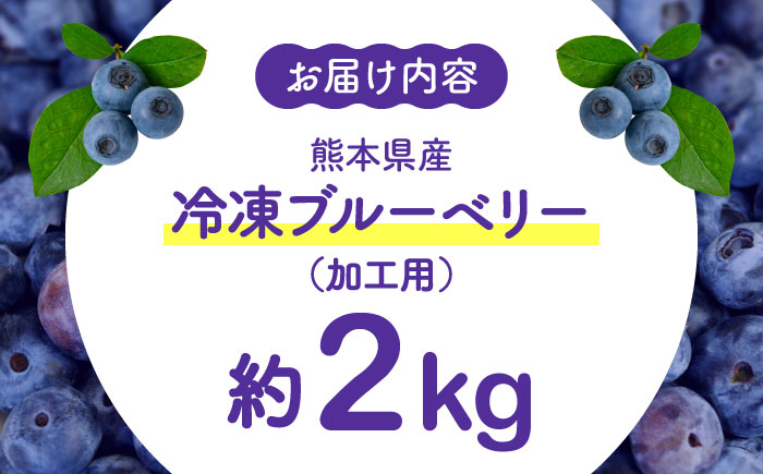 【8月末より順次発送】【加工用】冷凍ブルーベリー 2kg【「のん気・元気」百姓家】 [YAL027]