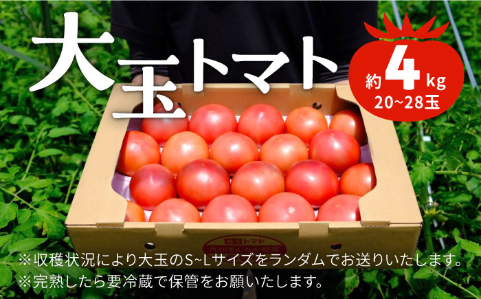 山の恵みがつくる 極旨 大玉トマト 4kg　(20～28玉)　山都町 熊本 トマト 【九州中央ジェネラルアグリ株式会社】 [YCO002]