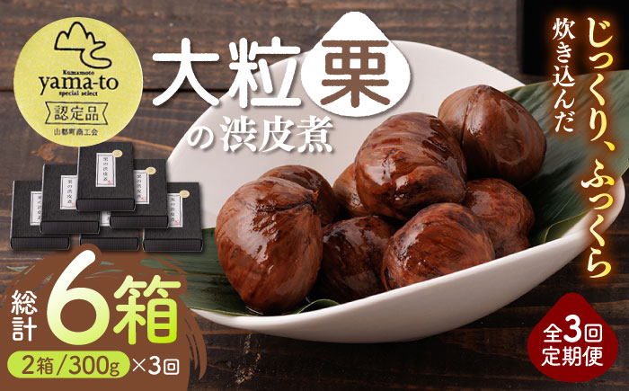 【全3回定期便】栗 渋皮煮 甘露煮 大粒 計600g 150g × 2袋 × 2箱 3Lサイズ 熊本県産 山都町産【食彩の里 ふしみ】[YAG012] 