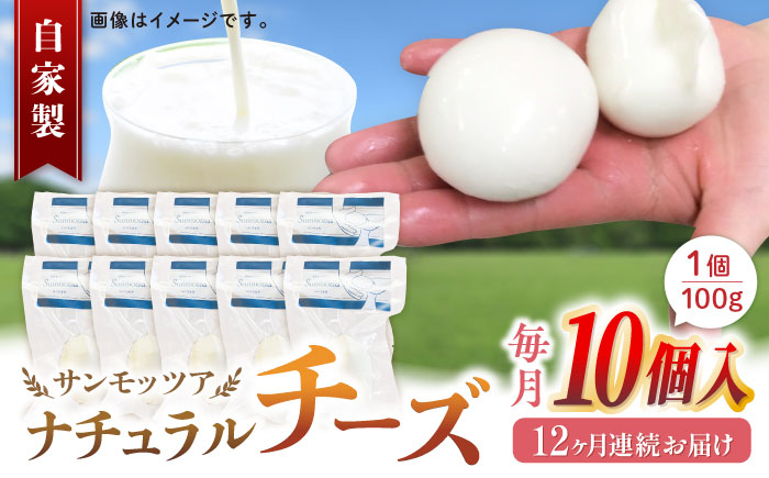 【全12回定期便】自家製 ナチュラルチーズ サンモッツア 10個 ( 100g × 10個 ) / チーズ モッツァレラチーズ  乳製品 熊本 山都町【山の未来舎】[YBV025] 