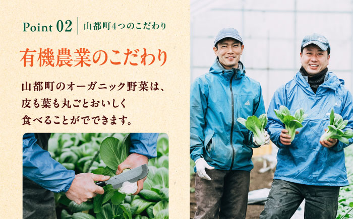 【全2回定期便】四季を味わう野菜セット【株式会社 肥後やまと】 [YAF019]