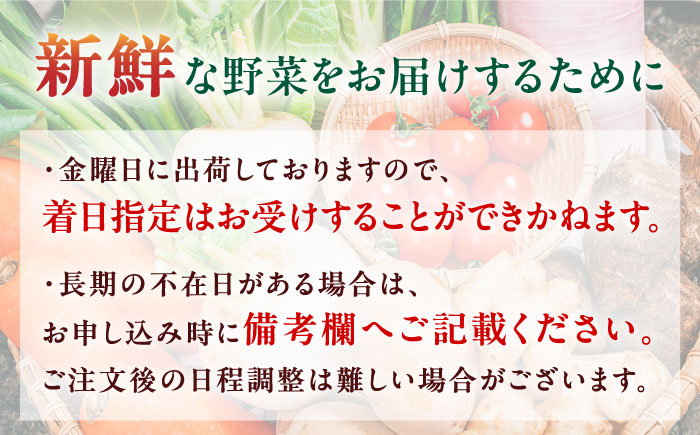 【全12回定期便】四季を味わう野菜セット【株式会社 肥後やまと】 [YAF022]