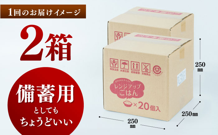 【全12回定期便】 【数量限定】いちょうの畑 パックご飯 ヒノヒカリ 150ｇ×40パック 【農事組合法人いちょう】 [YDN008]