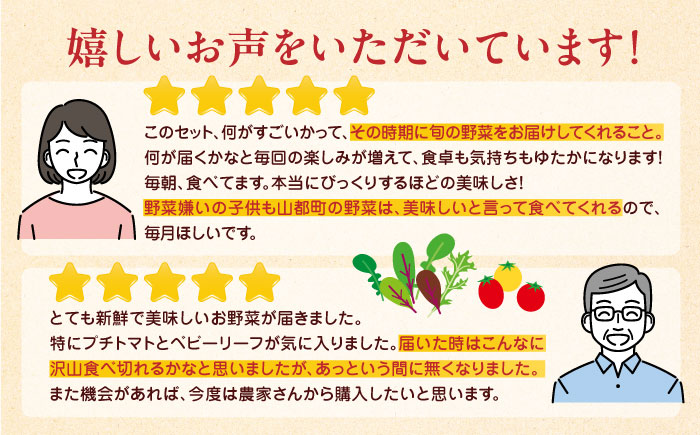 【全6回隔週定期便】有機野菜 12種セット 詰め合わせ 熊本県産 山都町産 産地直送  オーガニック【株式会社 肥後やまと】[YAF005]