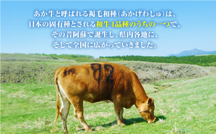 【全12回定期便】くまもと黒毛和牛 あか牛 ミックス 切り落とし 1kg【熊本県畜産農業協同組合】 [YAD020]