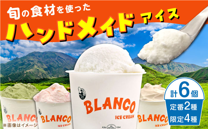 ハンドメイドアイスクリーム 食べ比べ 6個セット ( 6種 × 各1個 ) 詰め合わせ アイスクリーム 熊本 山都町 アイス【BLANCO ICE CREAM】[YCM001]