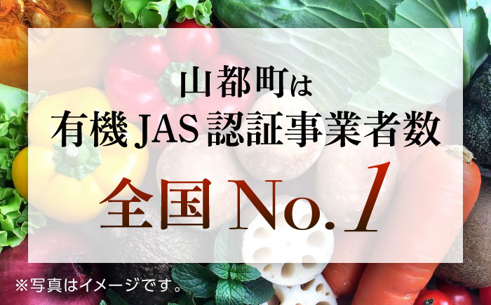 山都の魅力が詰まったランチョンマット 2枚 セット 【まほろや】 [YDR005]