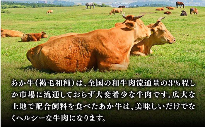 【全6回定期便】熊本和牛 あか牛 すきやき用 400g GI認証 すき焼き すきやき しゃぶしゃぶ スライス 赤牛 褐牛 あかうし 褐毛和種 肥後 冷凍 国産 牛肉【有限会社 桜屋】[YBW098] 