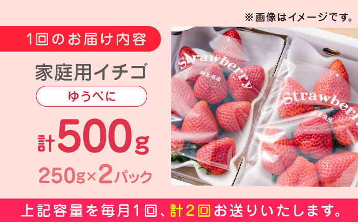 【全2回定期便】ゆうべに いちご  セット 250g×2P【なかはた農園】[YBI049] 