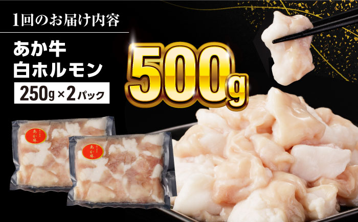 熊本県産 あか牛 白 ホルモン 計500g (250g×2P) 熊本 赤牛 褐牛 あかうし 褐毛和種 肥後 冷凍 国産 牛肉【五右衛門フーズ】[YBZ010] 10000 10,000 10000円 10,000円 1万円