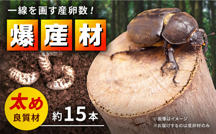 クヌギ爆産材 オリジナル 産卵材 カブトムシ クワガタ クヌギ 【ふるさと昆虫】 [YDV006]