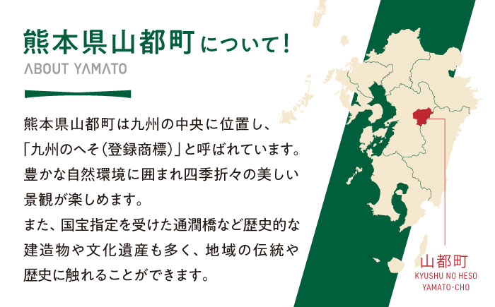 【応援寄附金】熊本県 山都町 ふるさとづくり 返礼品なし ふるさと納税 (100,000円分)[YZZ016] 