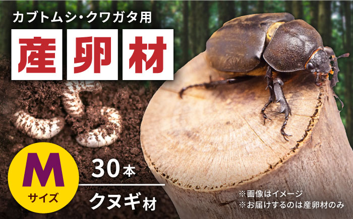 オリジナル産卵材 Mサイズ カブトムシ クワガタ クヌギB材 【ふるさと昆虫】 [YDV003]