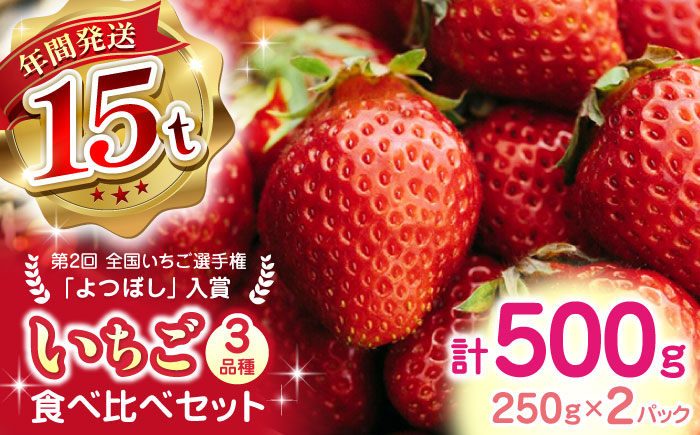 【2024年12月〜順次発送】いちご食べ比べ セット 3品種 計500g ( 250g × 2P ) 農園直送 産地直送 熊本県産 山都町産 イチゴ ストロベリー【なかはた農園】[YBI001] 