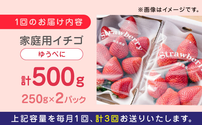 【先行予約】【全3回定期便】熊本県産 ゆうべに いちご  セット 250g×2P 農園直送 産地直送 山都町産【なかはた農園】[YBI045]