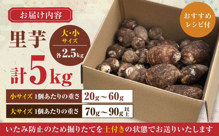 【産地直送】土付き 里芋 約5kg ( 大サイズ 小サイズ 各2.5kg ) 竹粉育ち 山都町産 熊本産[YCT005] 12000 12,000 12000円 12,000円