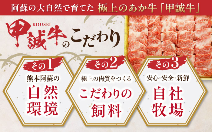 あか牛 カルビ 焼肉セット 400g やきにく 焼き肉 贅沢 あか牛のたれ付き 熊本 赤牛 褐牛 あかうし 褐毛和種 肥後 冷凍 国産 牛肉【有限会社 三協畜産】[YCG007] 