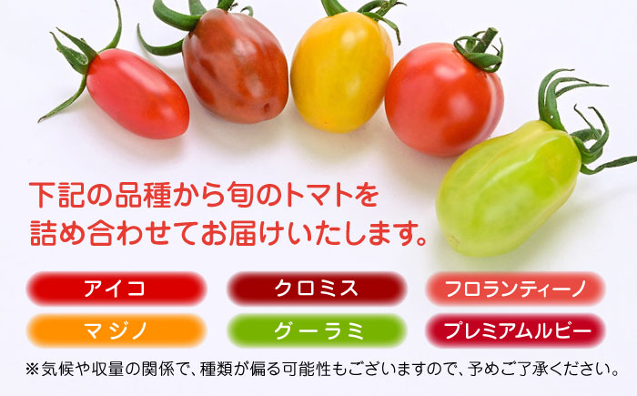 期間限定】熊本県産 減農薬栽培 トマト ミディトマト 詰め合わせ 30個