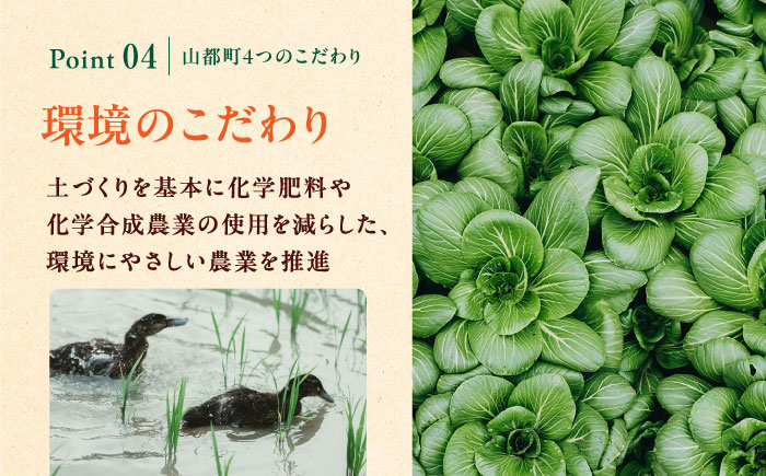 【全12回定期便】オーガニック 野菜 セット 8種【株式会社 肥後やまと】 [YAF030]