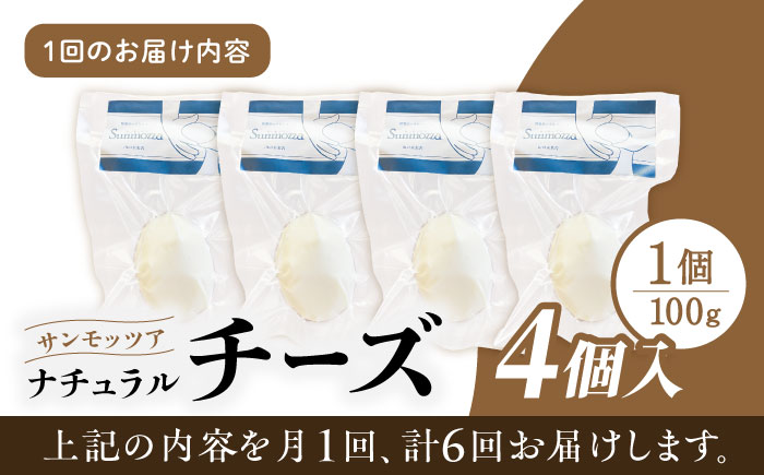 【全6回定期便】自家製 ナチュラルチーズ サンモッツア 4個 ( 100g × 4個 ) / チーズ モッツァレラチーズ  乳製品 熊本 山都町【山の未来舎】[YBV020] 